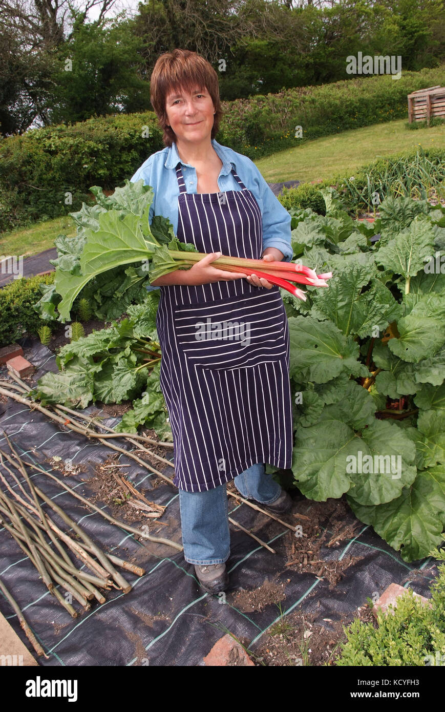 Jekka McVicar of Jekka's Herb Farm Stock Photo Alamy