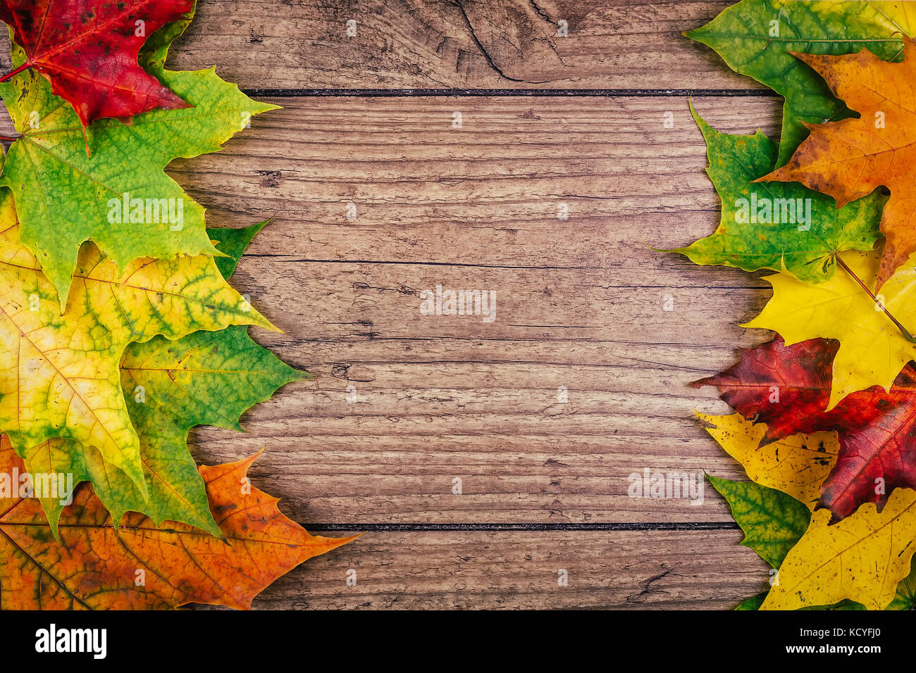 Autumn background with colorful fall maple leaves on rustic wooden ...