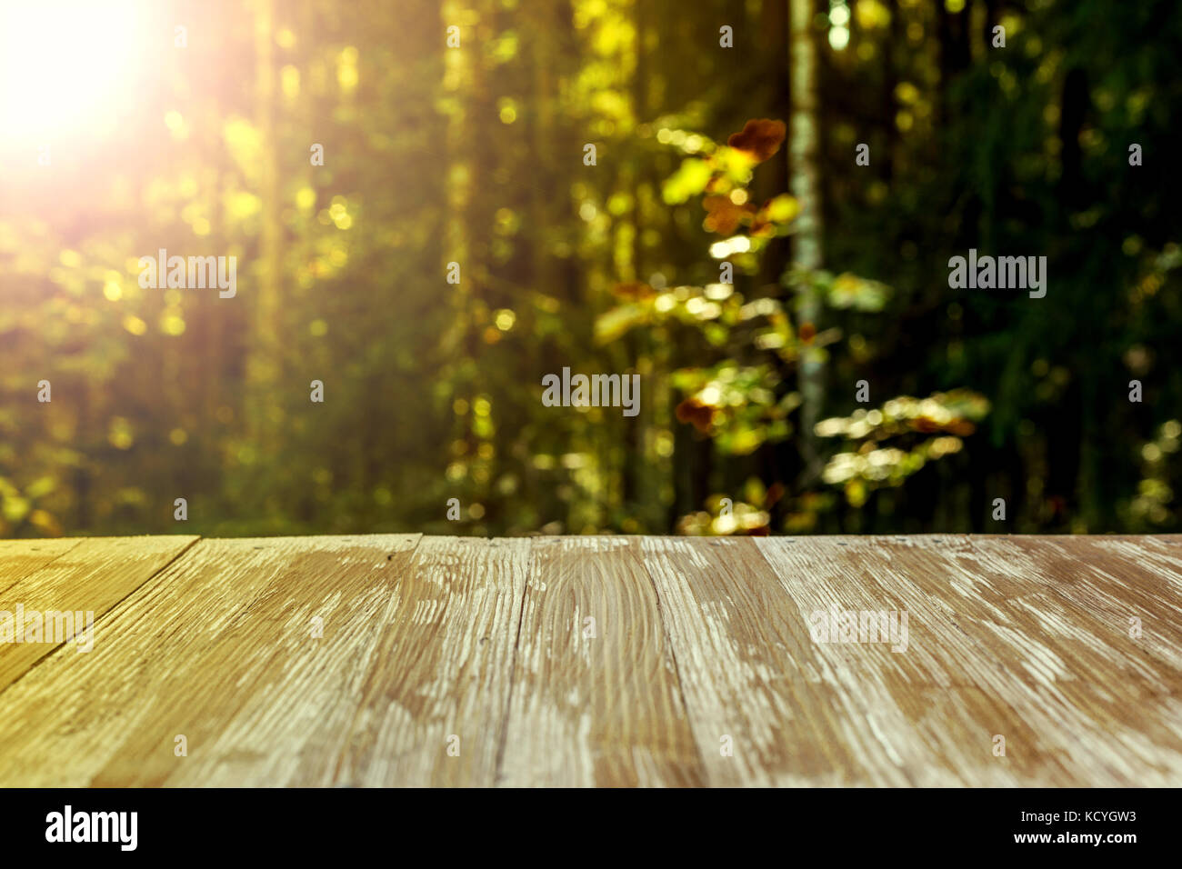 Empty rustic wood table top on blurred forest background at summer. Can ...