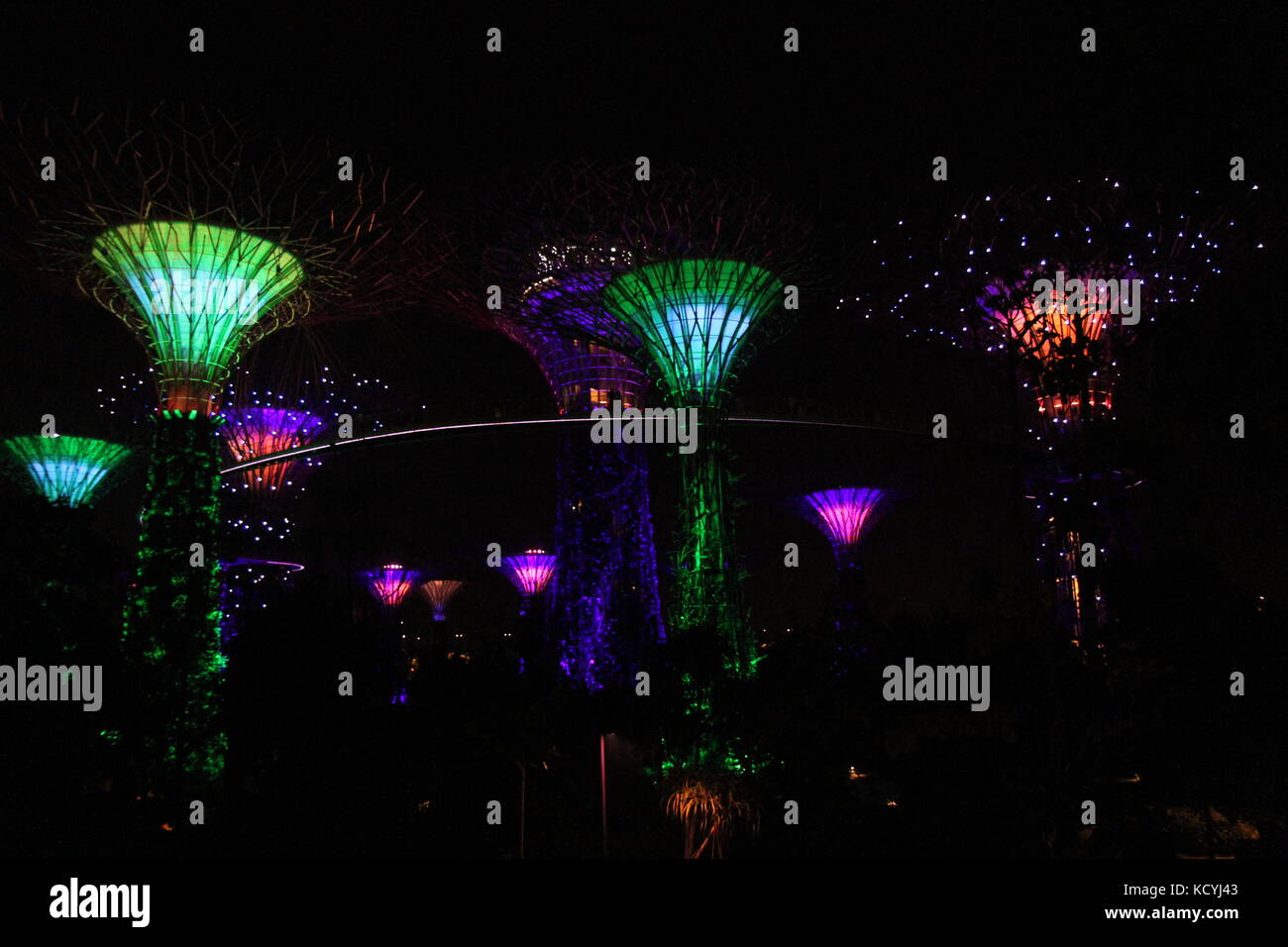 Singapore's Supertrees light show in the Gardens by the Bay Stock Photo Alamy
