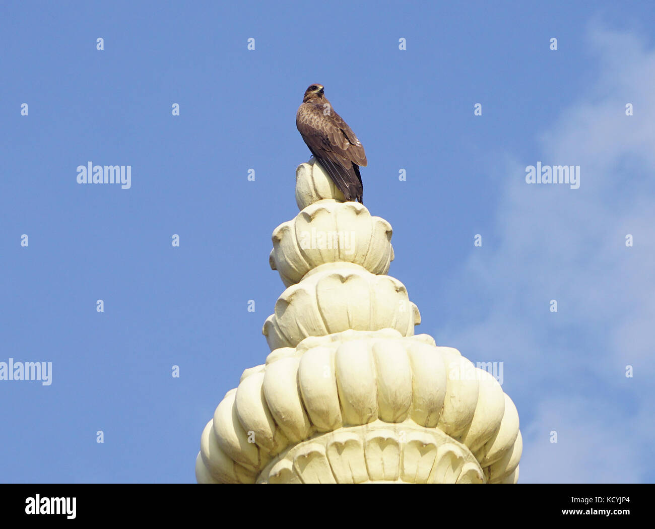 A kite sitting on the top of dome of a temple Stock Photo