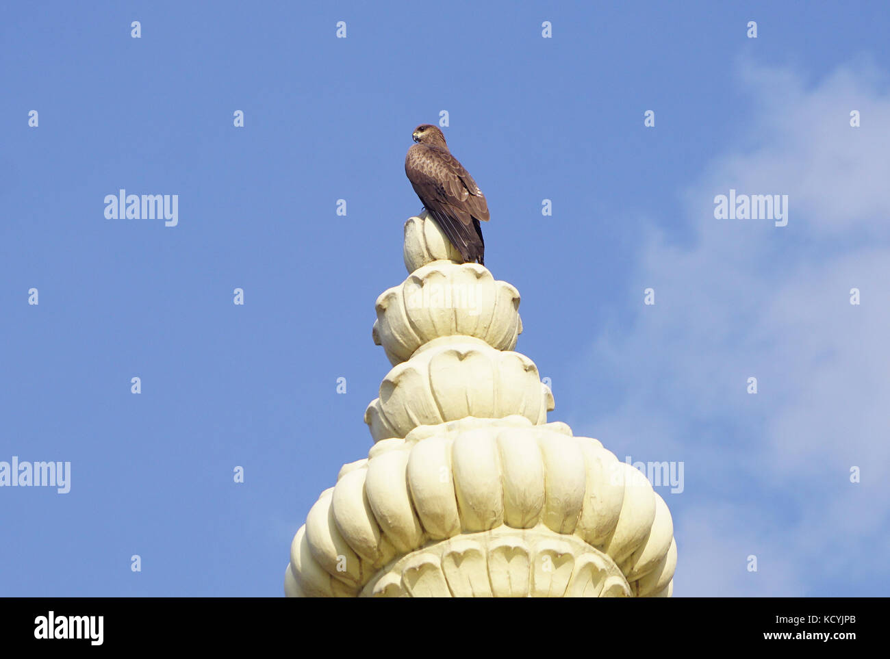 A kite sitting on the top of dome of a temple Stock Photo