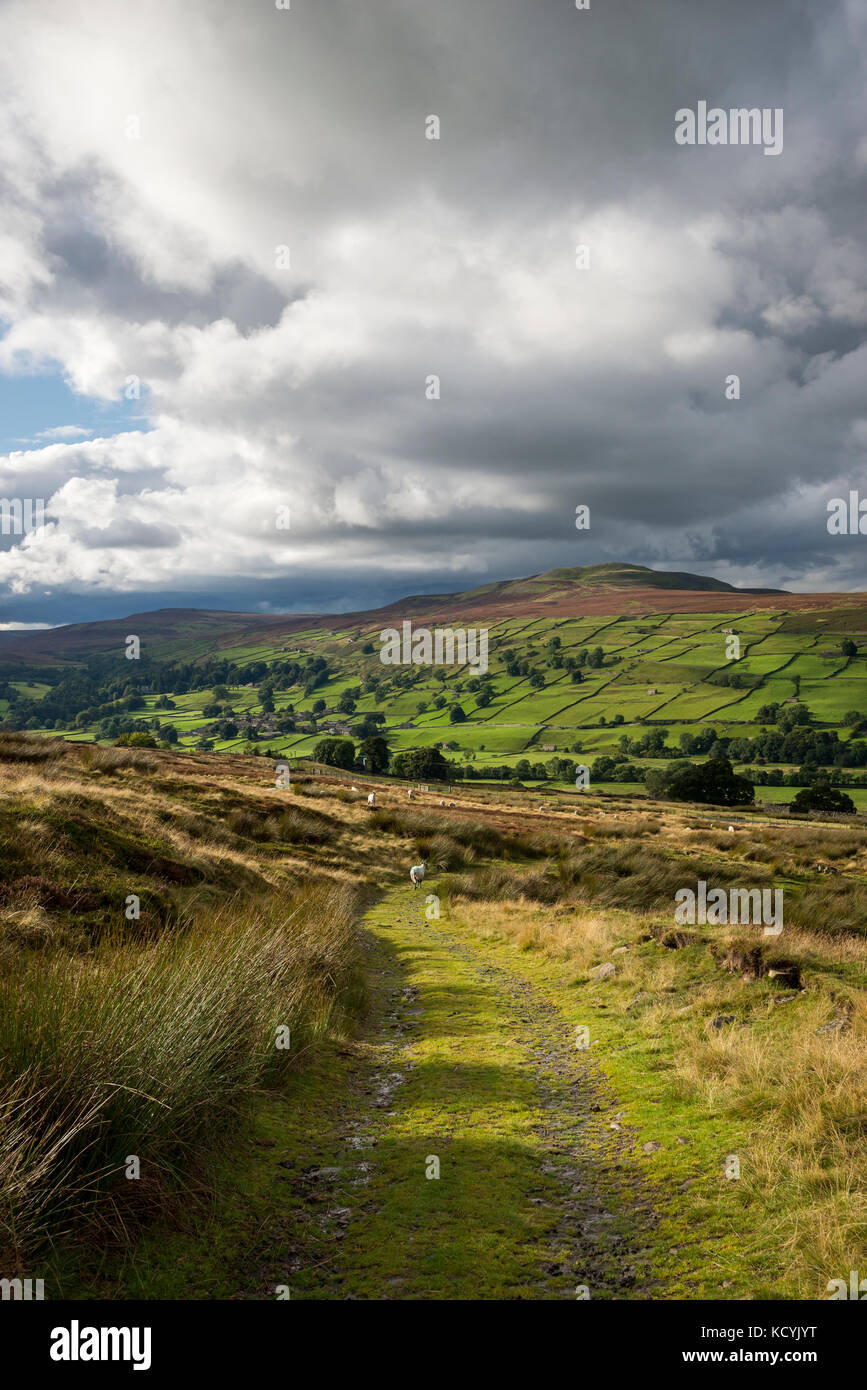 Moorland path near Grinton in Swaledale, North Yorkshire, England. View towards Healaugh village and Calver Hill. Stock Photo
