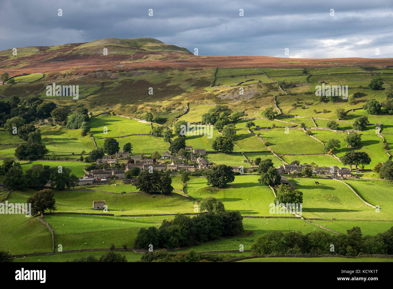 The village of Healaugh below Calver Hill in Swaledale, North Yorkshire, England. Stock Photo
