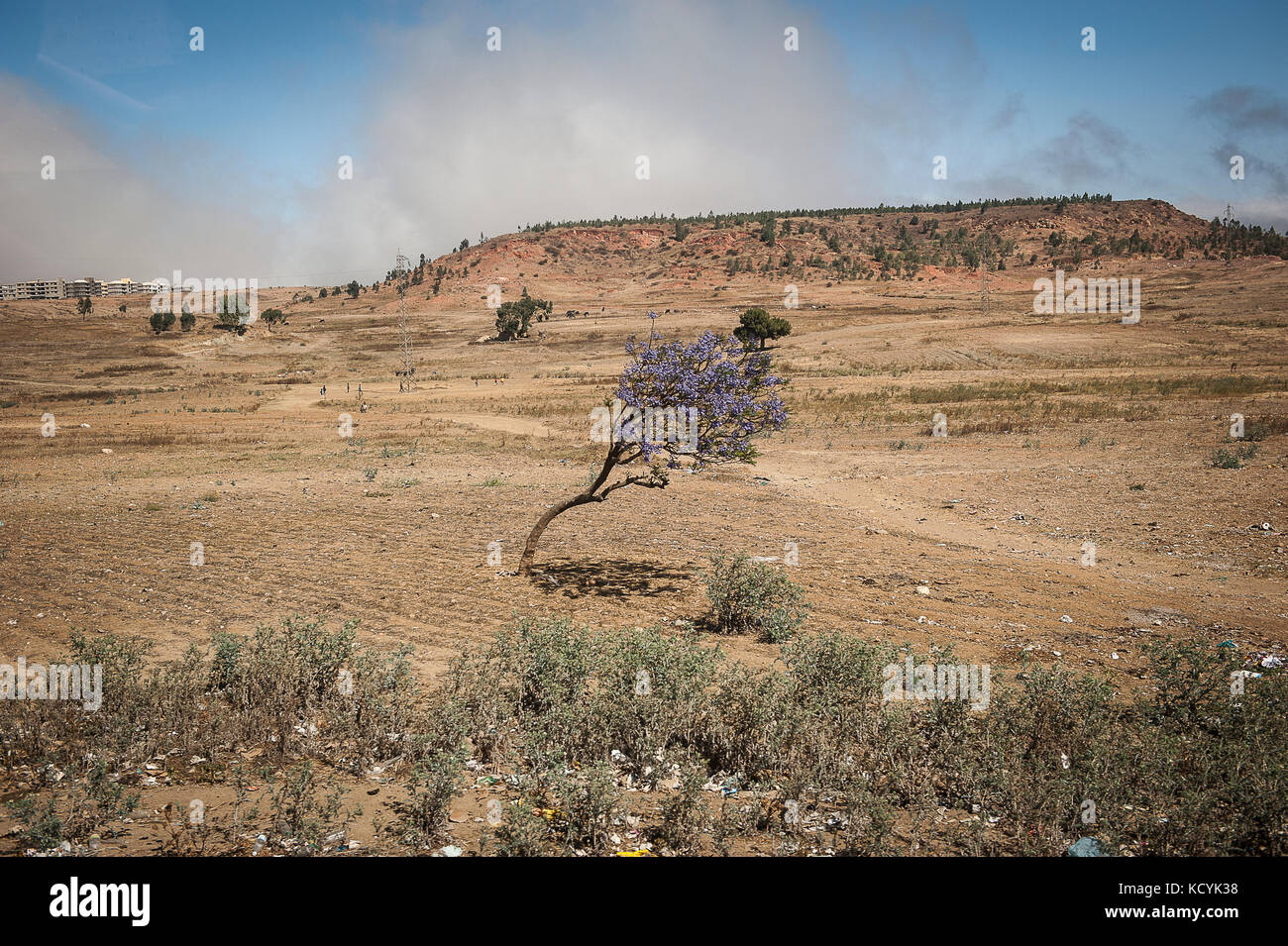 Landscape In Erythree February 13 Paysage En Eythree Fevrier 13 Stock Photo Alamy