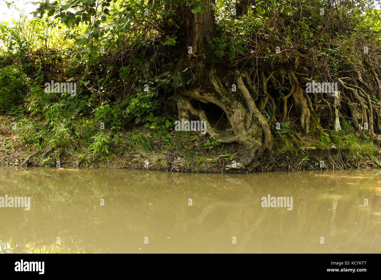 Undercut river hires stock photography and images Alamy