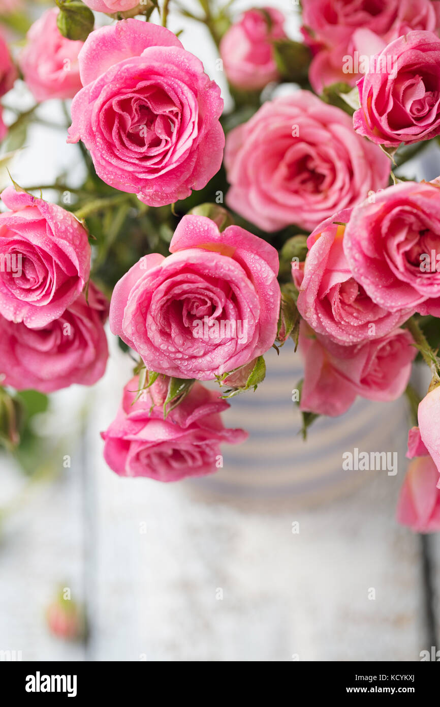 Rose flowers in vase. Beautiful romantic bouquet. Stock Photo