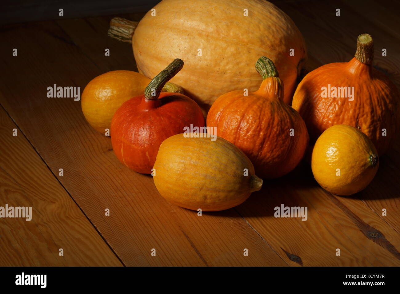 Beautiful different pumpkins lie on the wooden floor. Stock Photo