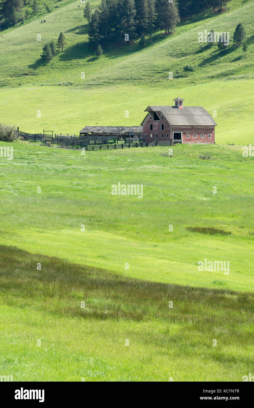 Rustic barn, shed and corral in Northeast Oregon. Stock Photo