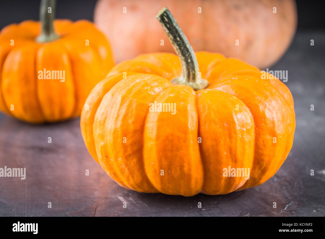 orange decorative pumpkins on a gray background Stock Photo - Alamy