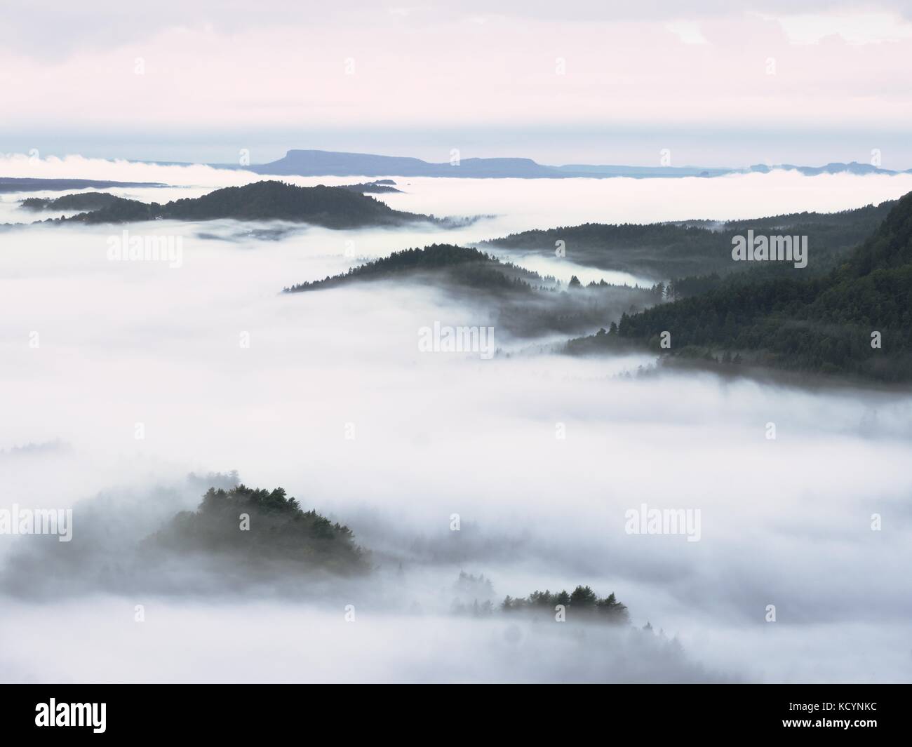 Heavy Mist Heavy mist in landscape. Magnificent autumn creamy fog in countryside ...