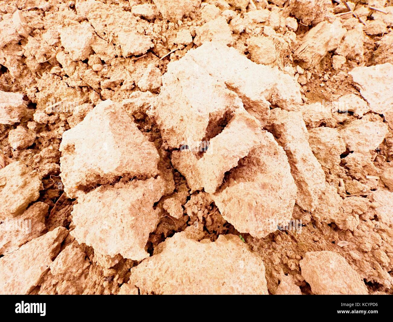 Dry dusty clay on the field. Empty plowed field waits for sowing. Dust