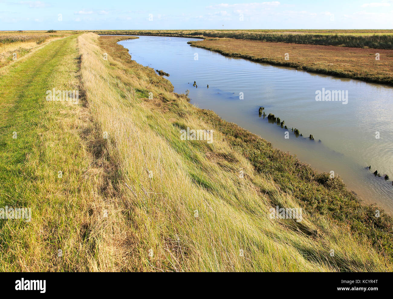 Landscape at high tide Barthorp's Creek, Hollesley Bay, near Shingle Street, Suffolk, England, UK Stock Photo