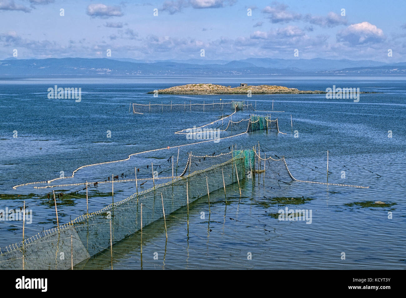 Fixed tidal weirs for catching eels in Saint- Lawrence River estuary, Kamouraska, Québec, Canada Stock Photo