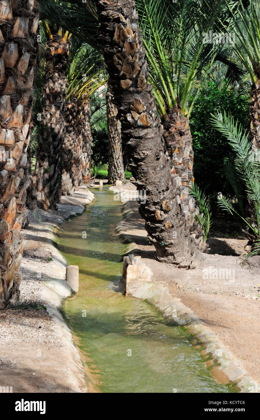 Irrigation canal. Elche, Alicante, Spain Stock Photo