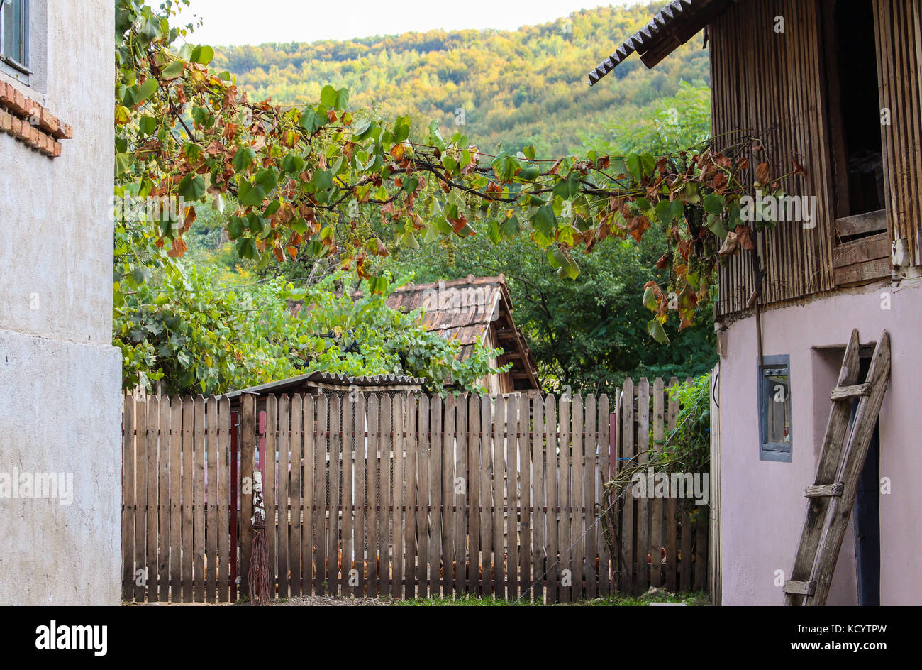 Rural indian village house door hi-res stock photography and images - Alamy