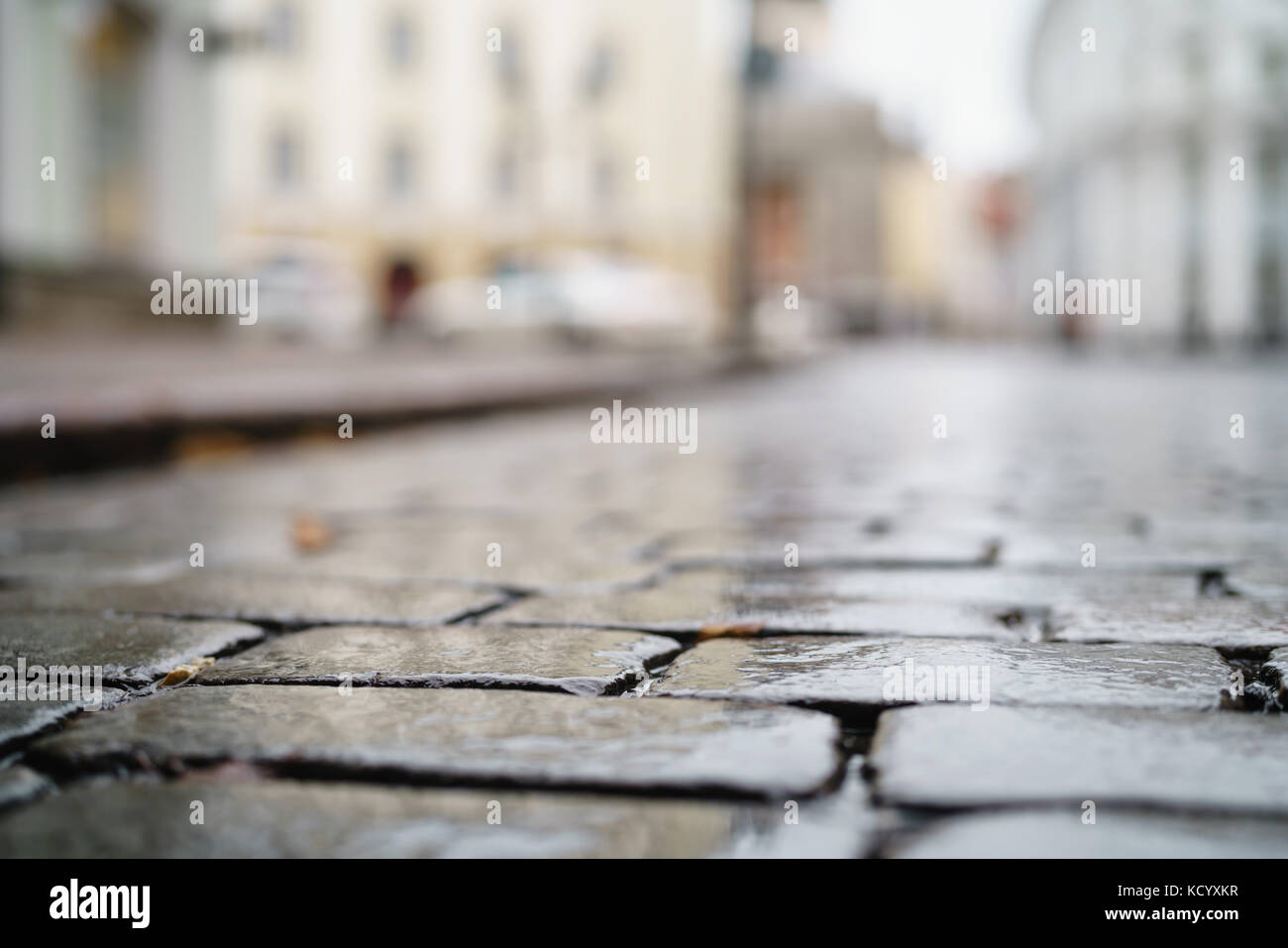 low angle shot of wet old pavement in Tallinn with shallow focus Stock Photo