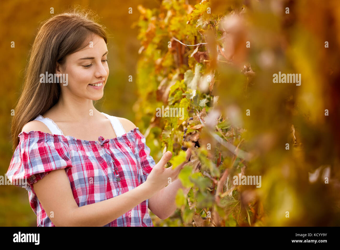 Young woman working  in vineyard Stock Photo
