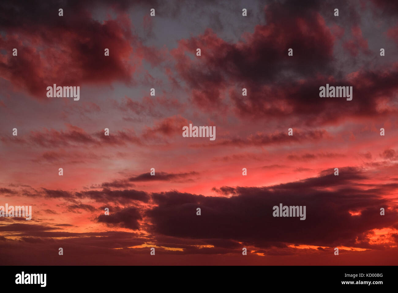 sky with clouds on sunset Stock Photo - Alamy
