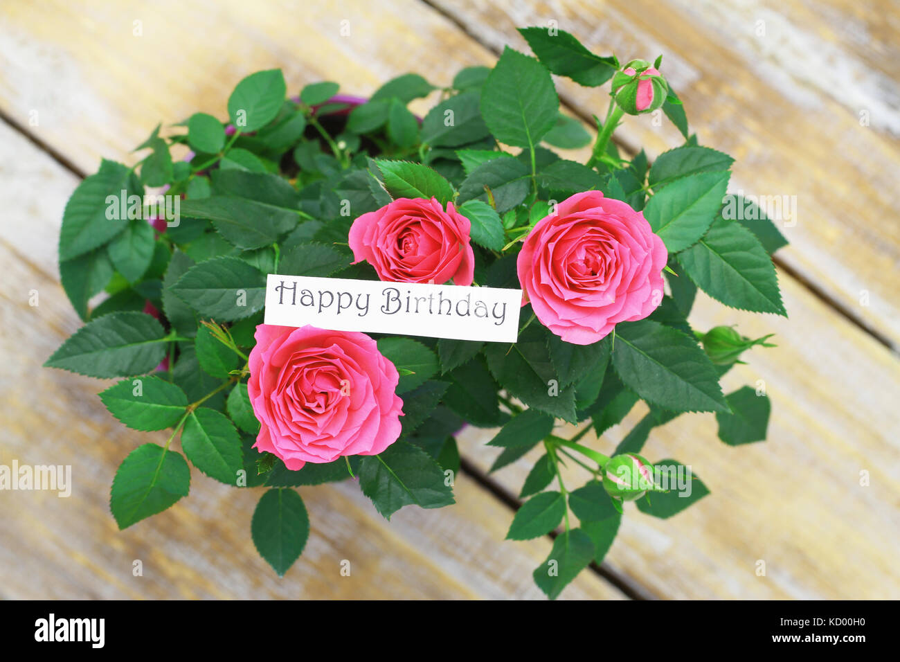 Happy Birthday Card. Beautiful Roses Bouquet Drawing On Pink Grunge  Background. Royalty Free SVG, Cliparts, Vectors, and Stock Illustration.  Image 80092266.