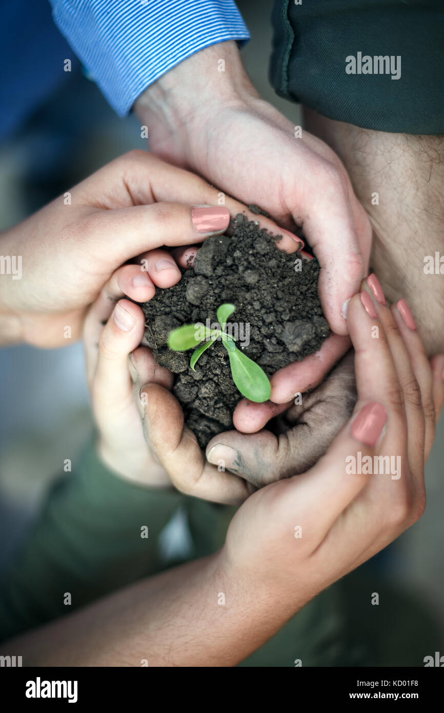 hands surround a new seedling, protecting our environment Stock Photo