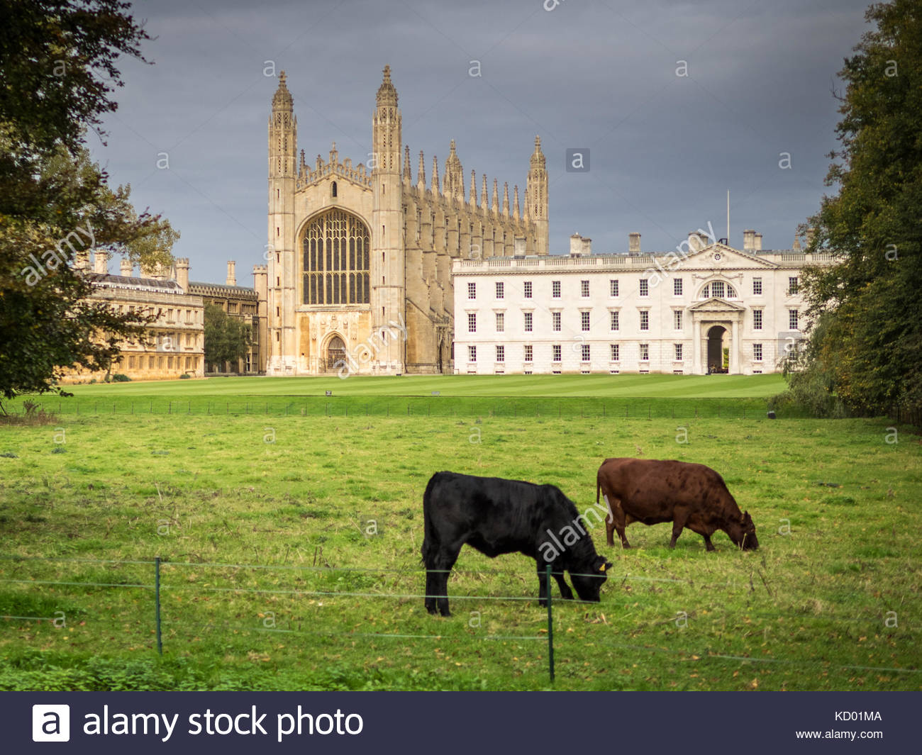 Cambridge Backs Stock Photos & Cambridge Backs Stock Images - Alamy