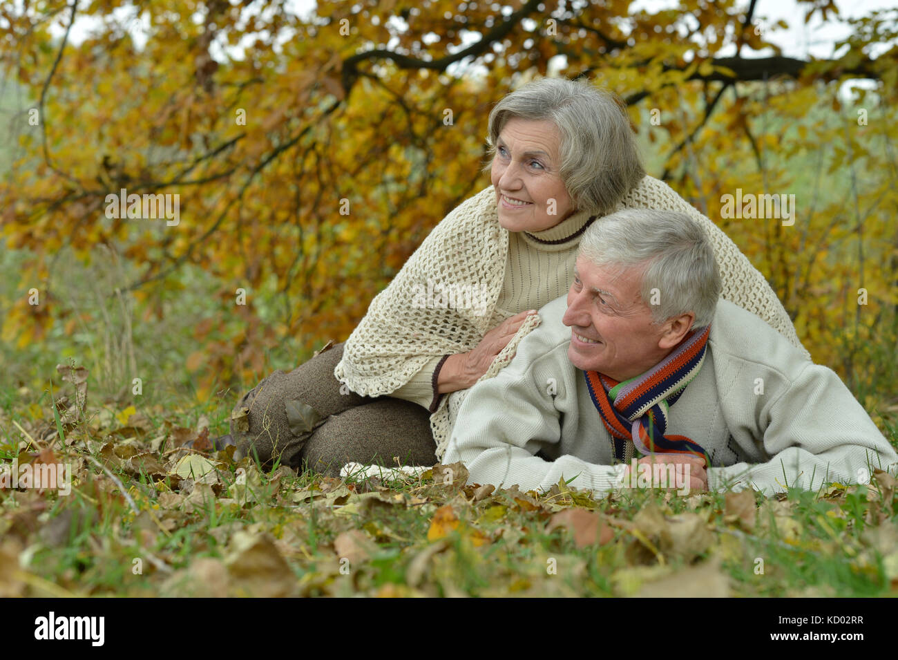 Senior couple in autumn park Stock Photo - Alamy