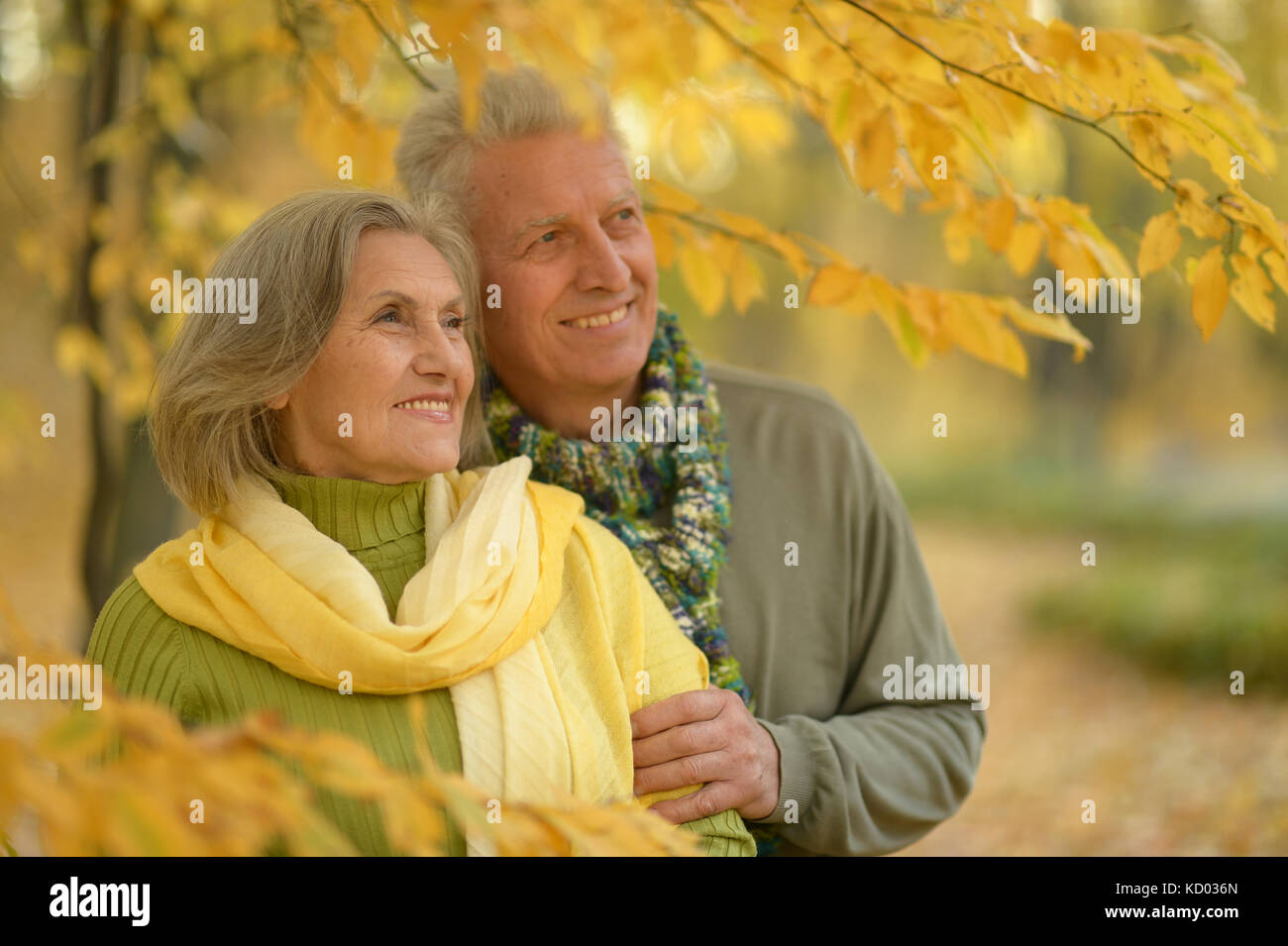 senior couple hugging in the park Stock Photo - Alamy