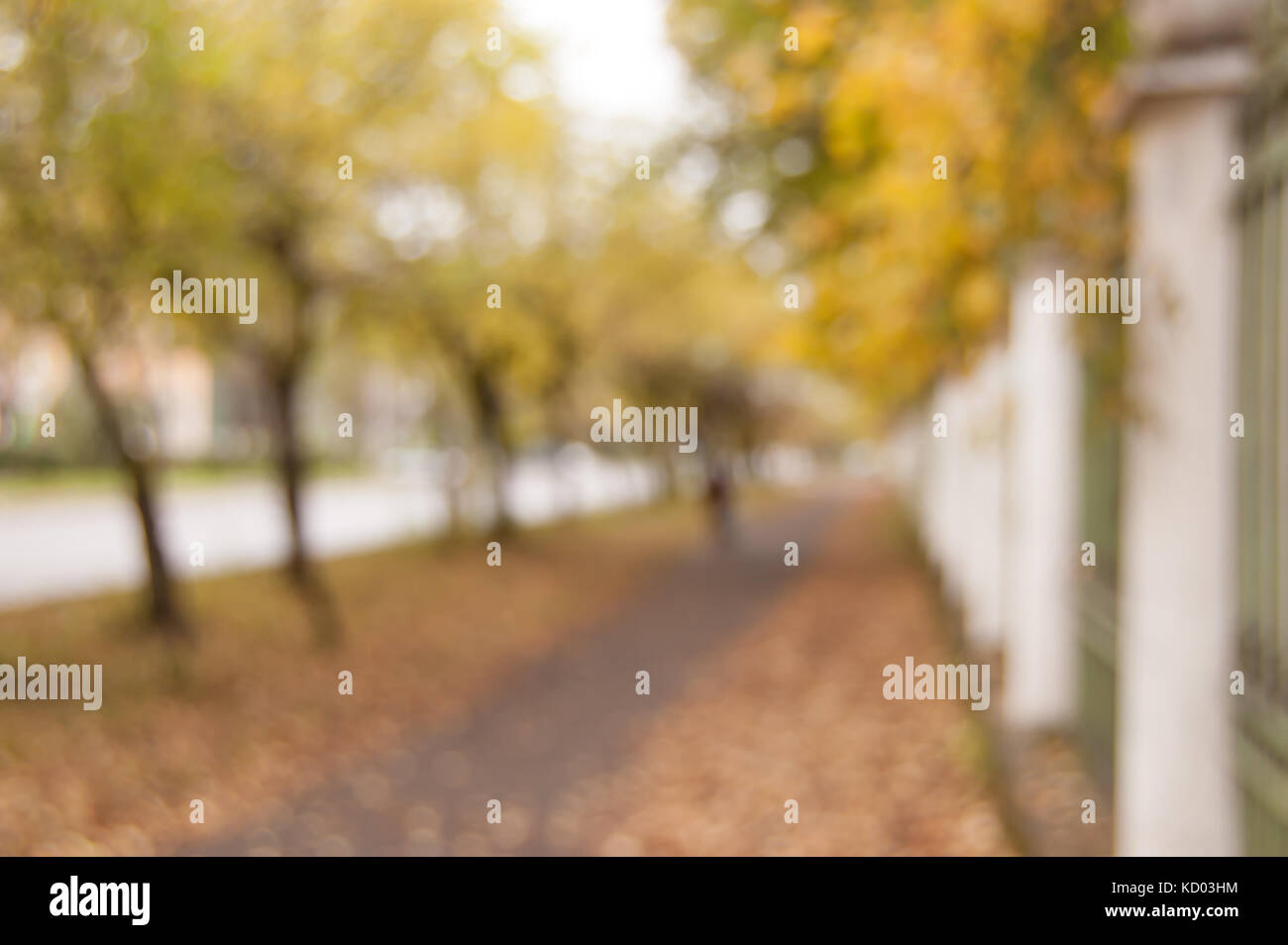 blurred beautiful autumn alley with park fence and trees Stock Photo