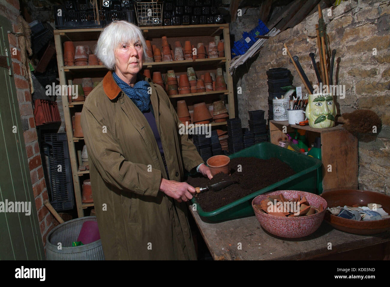 Gardener Mary Keen with her potting shed Stock Photo