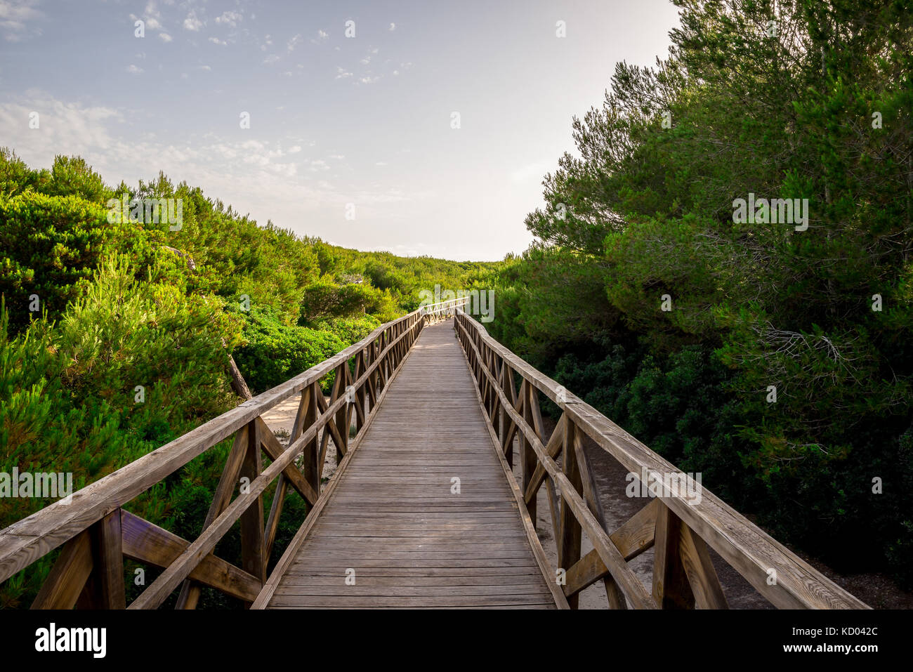 A Boardwalk Bridge To Playa De Muro Beach In Can Picafort Alcudia