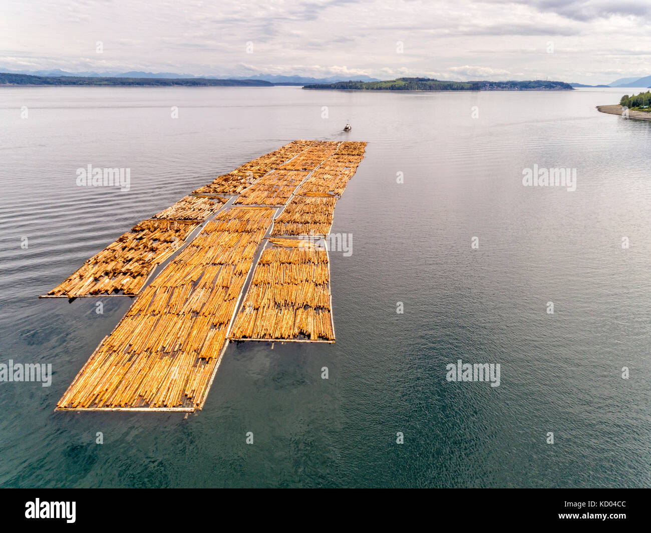 Tug towing a large float of logs off Northern Vancouver Island, looking towards Cormorant Island, Alert Bay and Johnstone Strait, British Columbia, Canada. Stock Photo
