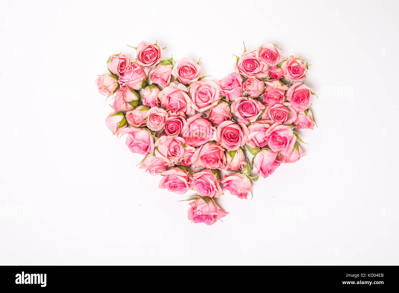 Heart Shaped Pink Rose Arrangement on a White Background Stock Photo ...