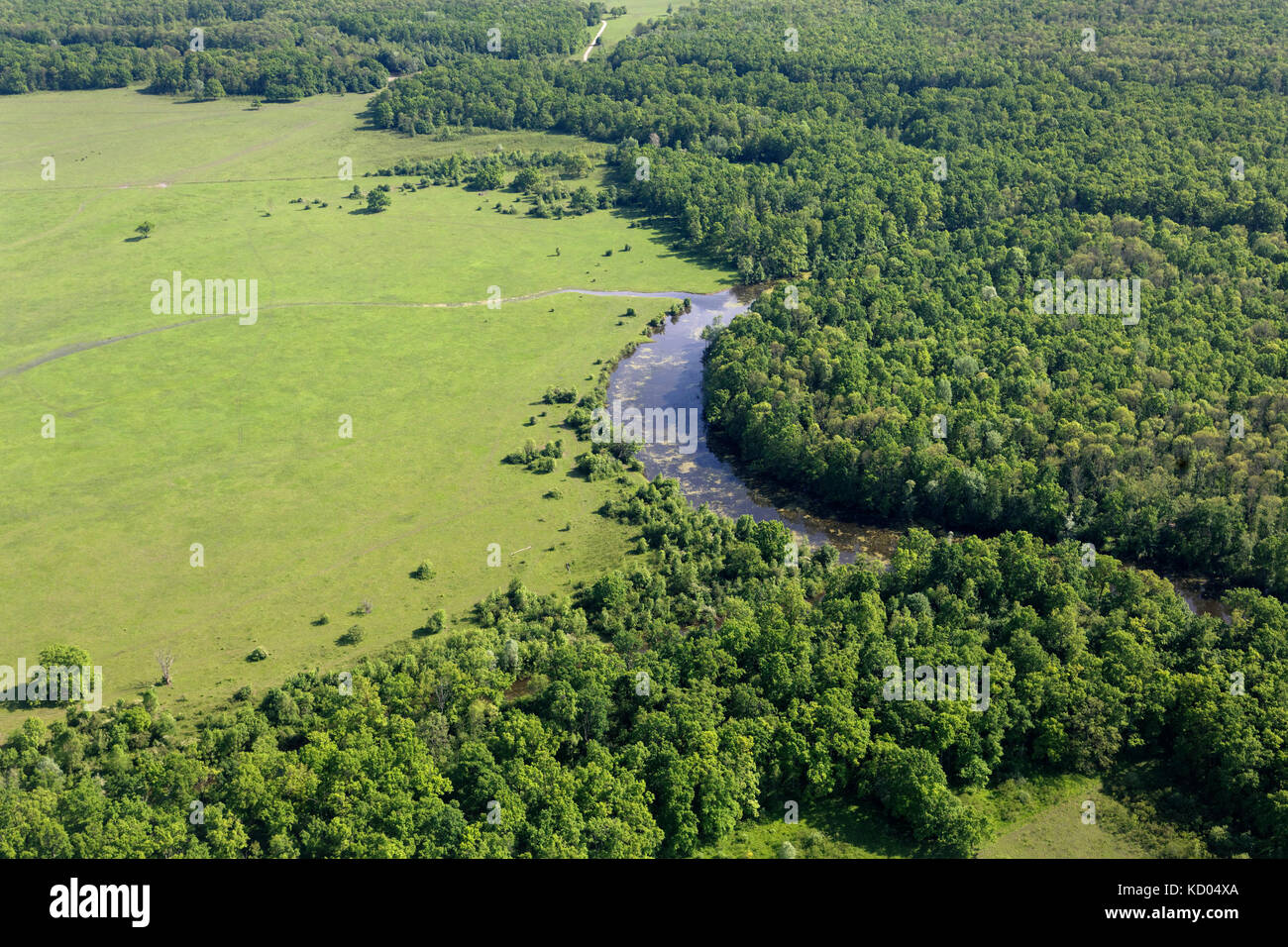 Aerial view of the floodplain on the Odra River with the forest and pastures, Croatia Stock Photo