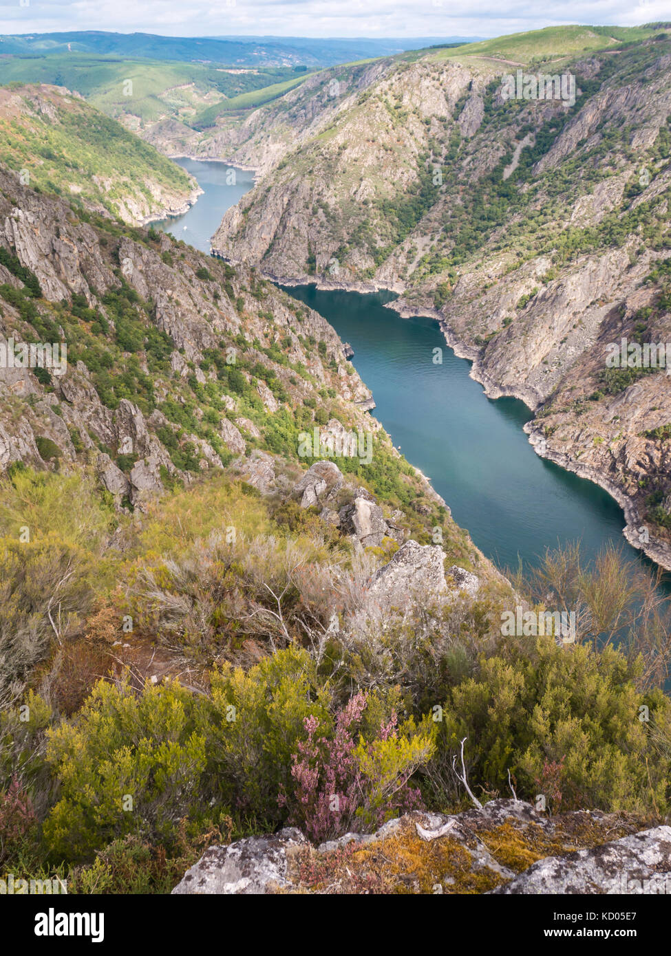 Heathery bank of Sil river in the province of Ourense, Galicia, Spain. Ribeira Sacra deep canyon landscape view from Vilouxe viewpoint. Stock Photo