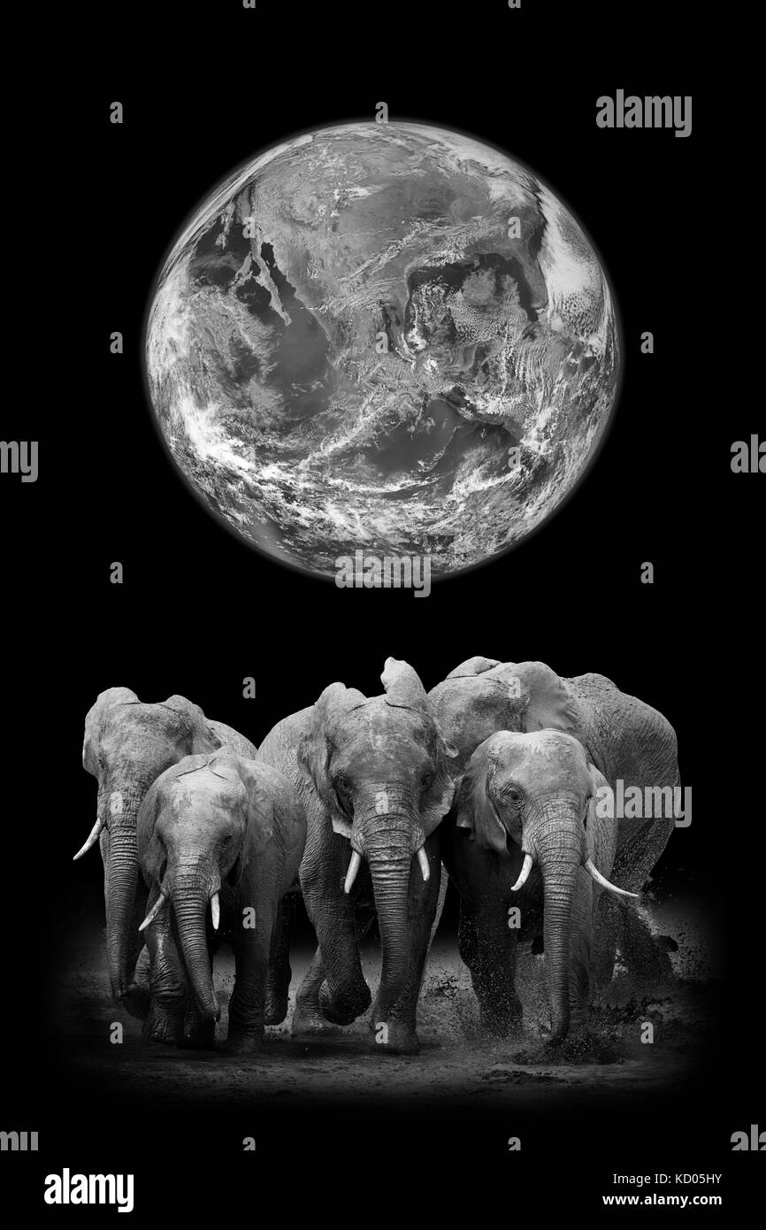 Elephants on the background of the Earth. Elements of this image furnished by NASA Stock Photo