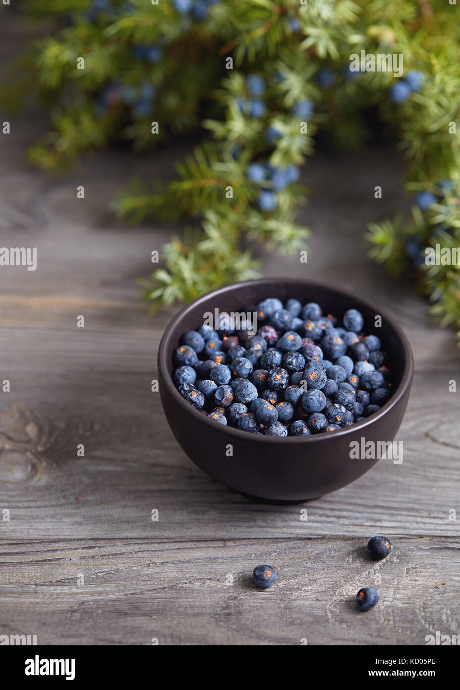 Small bowl with seeds of juniper on wooden table. Stock Photo