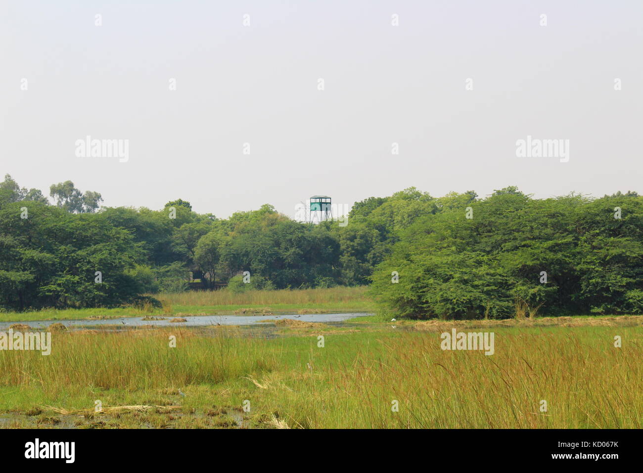 Bird watching tower at Sultanpur National Park in Haryana, India Stock Photo