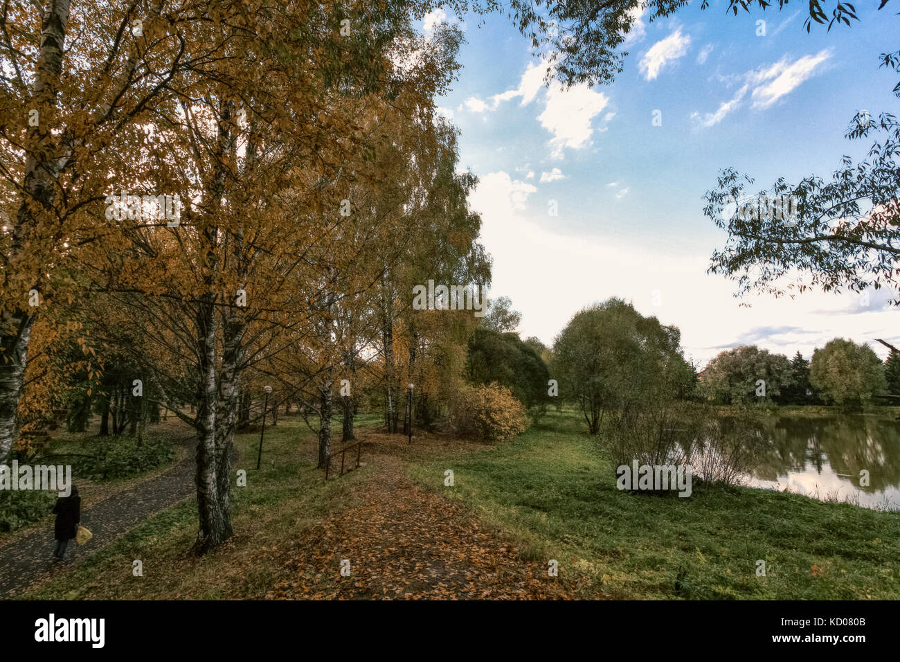 border of summer and fall Stock Photo - Alamy