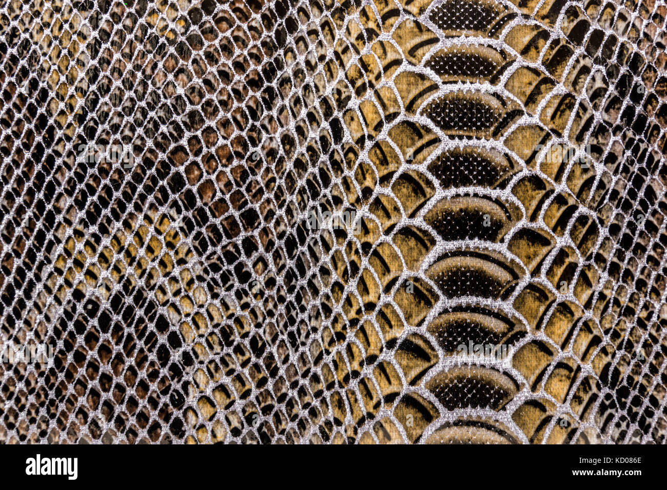 snake skin pattern