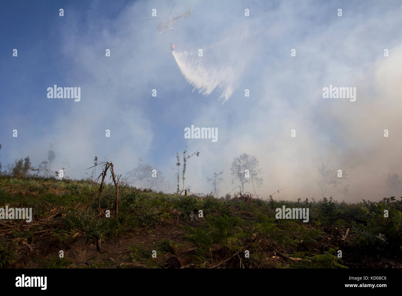 Aerial Fire Fighting High Resolution Stock Photography and Images - Alamy