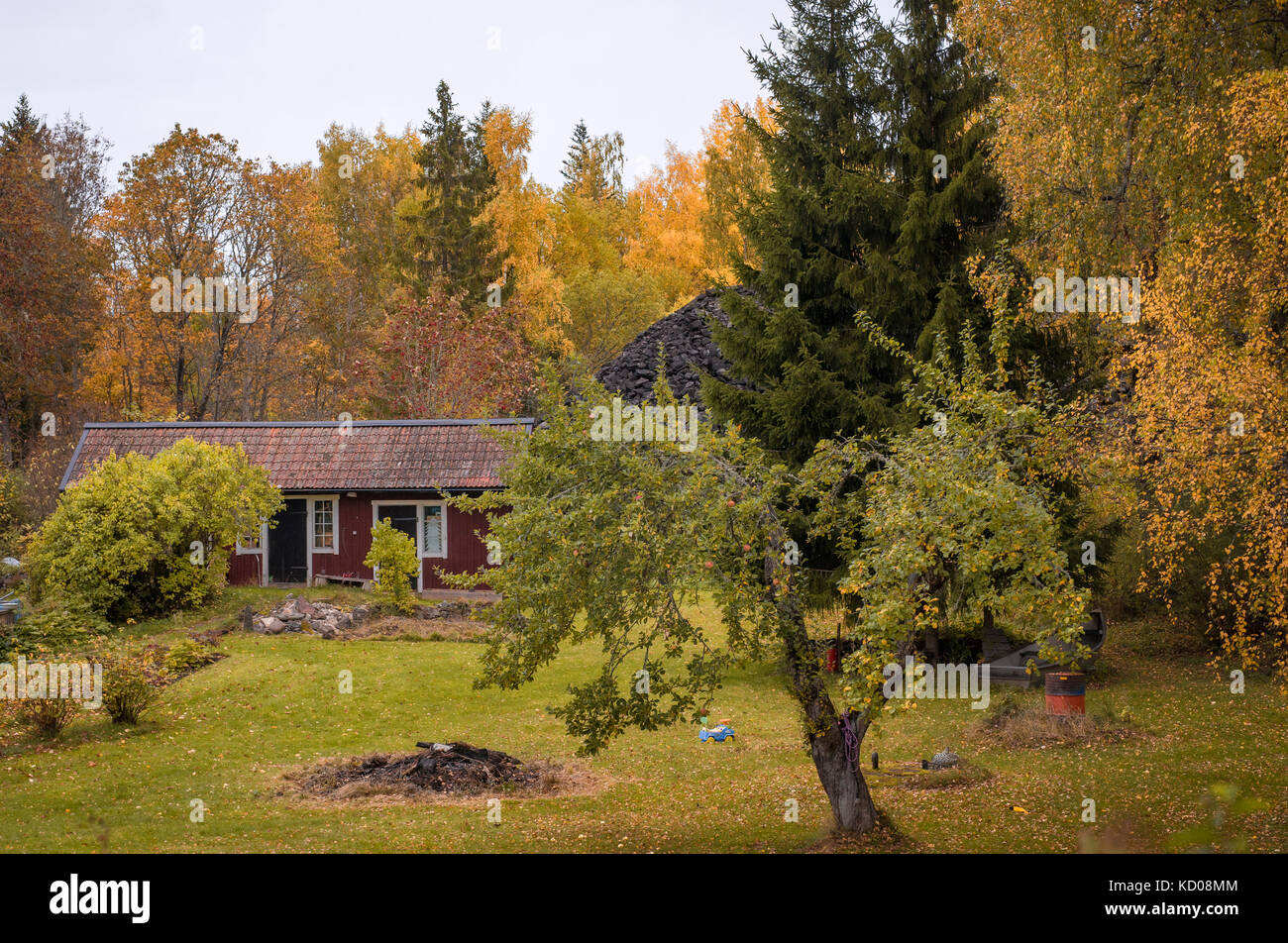 A Small Red Cottage In The Woods With An Appletree And Two Big