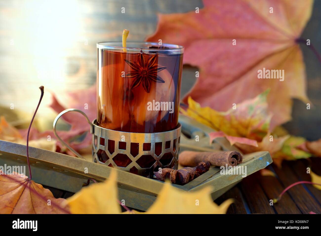 Hot drink with rose hips, аpple, anise, and cinnamon Stock Photo