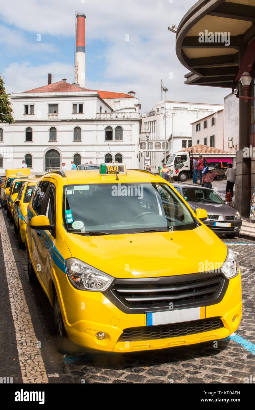 Row of Yellow taxis in Madeira island Stock Photo Alamy