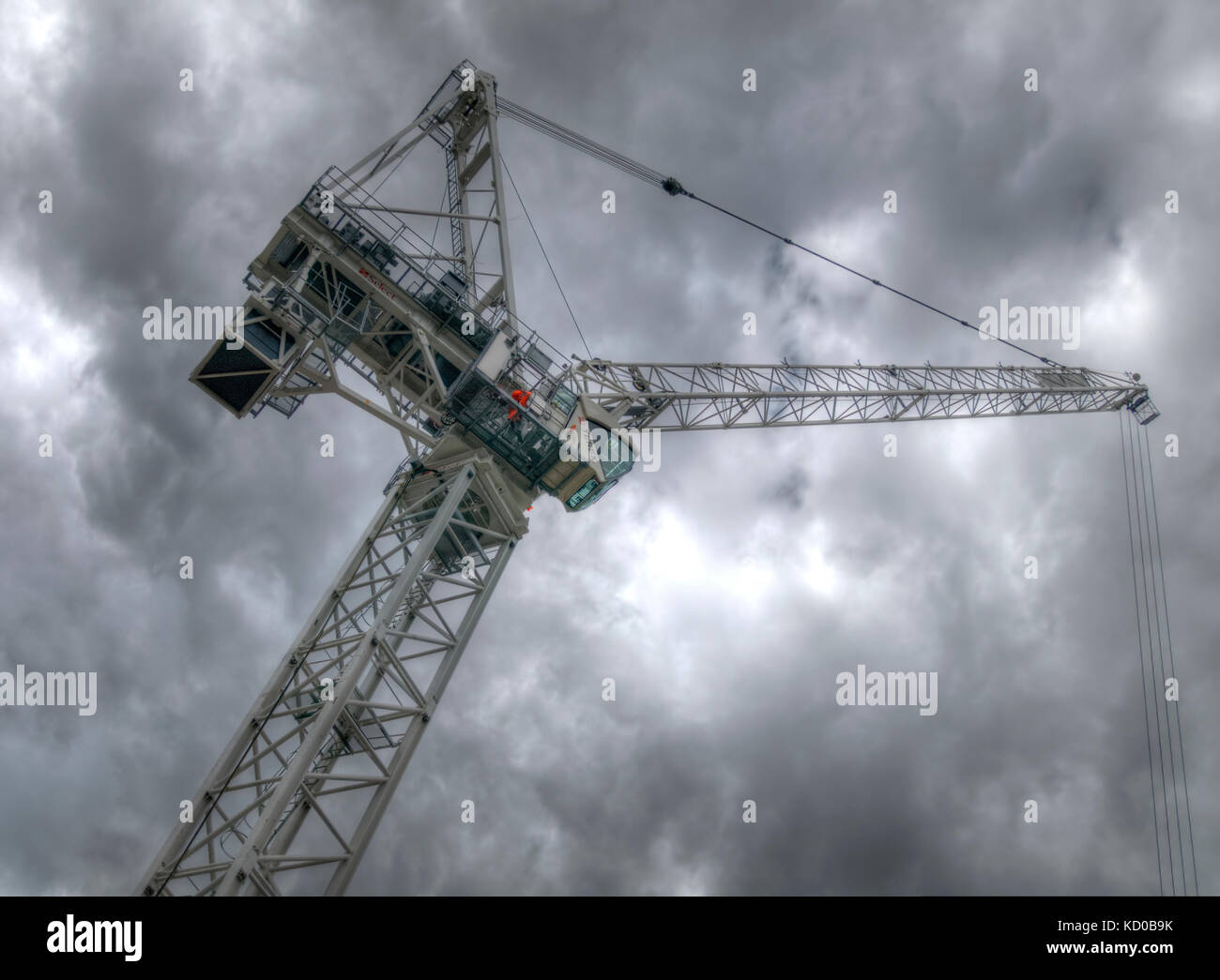 【原画】『Crane in the Clouds』 原画】『Crane in the Clouds』 Vintage Japanese illustration