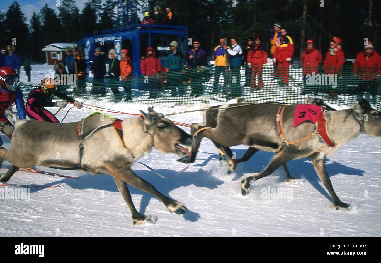 Sami People Festival Stock Photos & Sami People Festival 