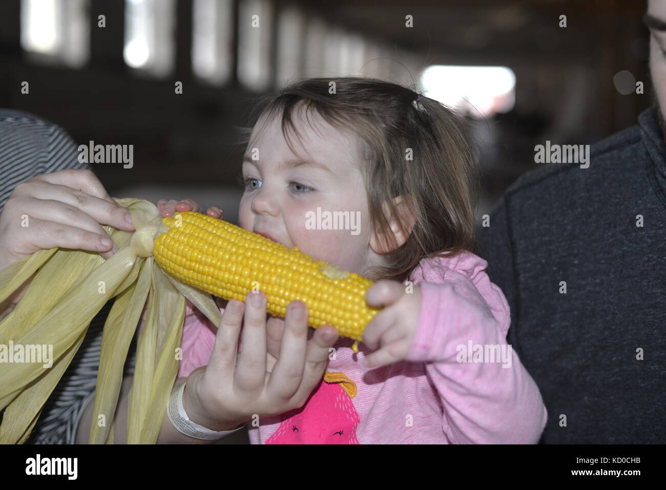 Child eating corn on the cob Stock Photo Alamy