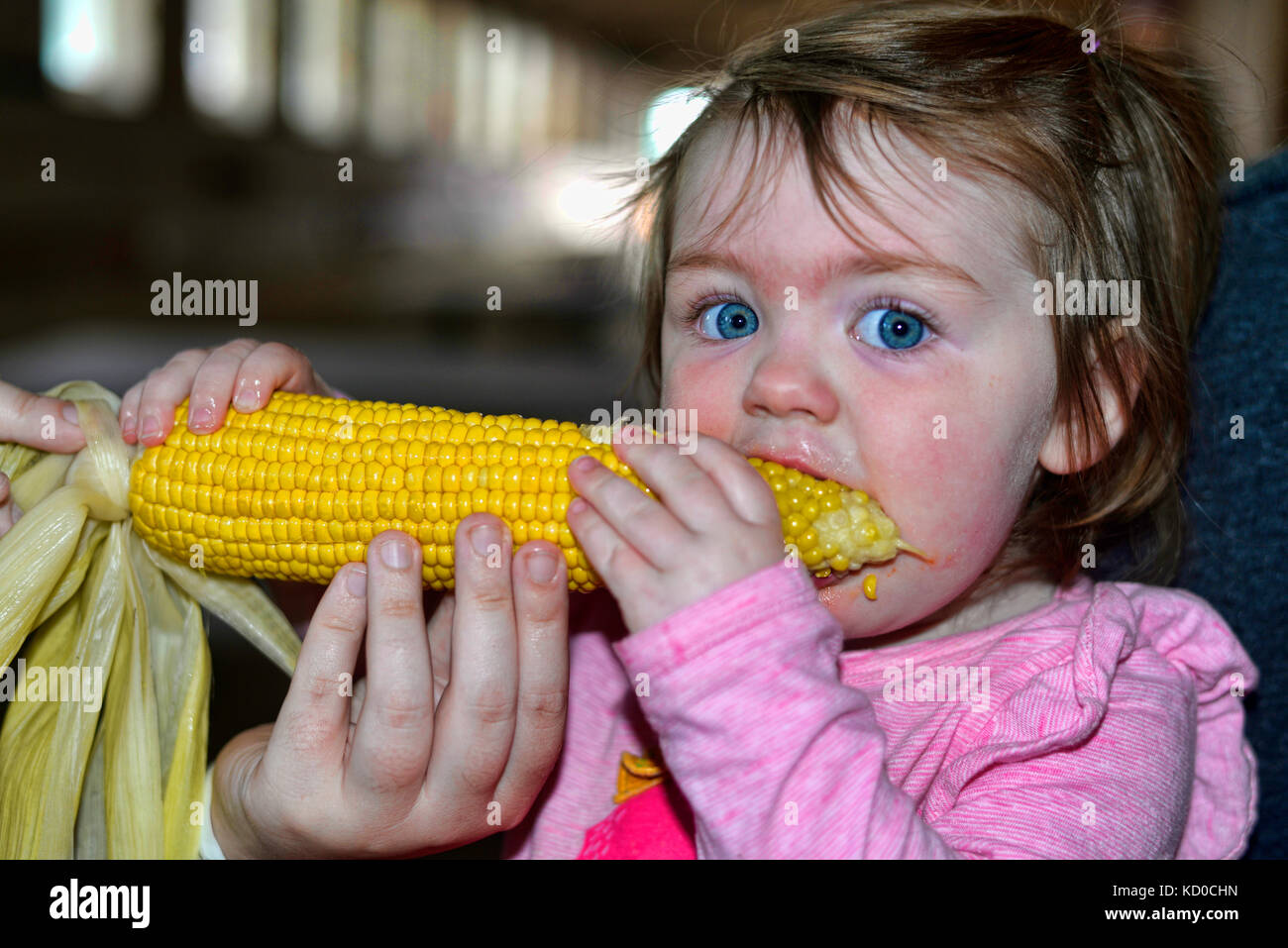 Child eating corn on the cob Stock Photo Alamy