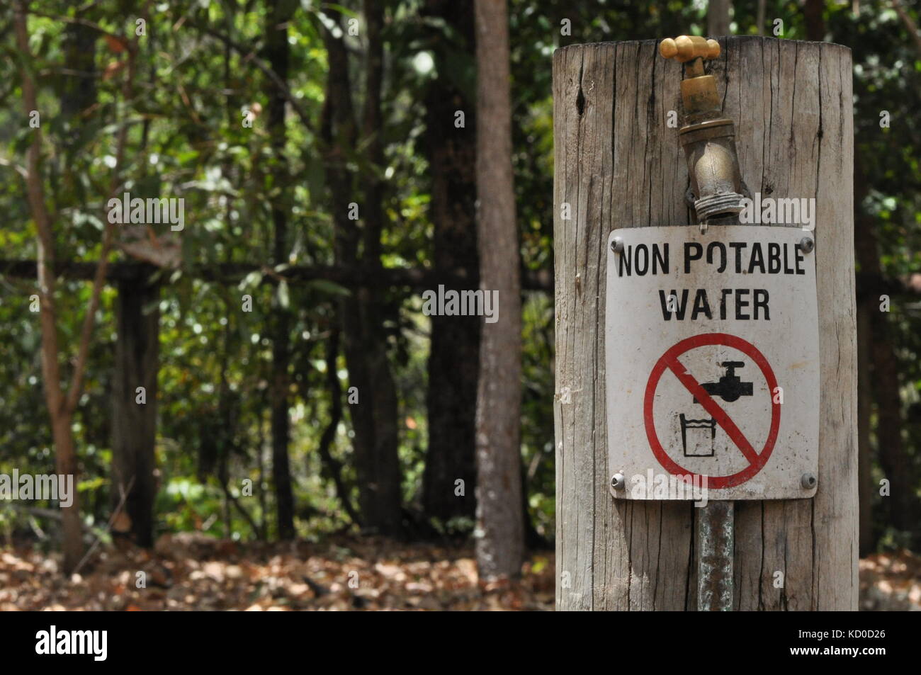 Bowling Green Bay National Park (Alligator Creek), Townsville, QLD