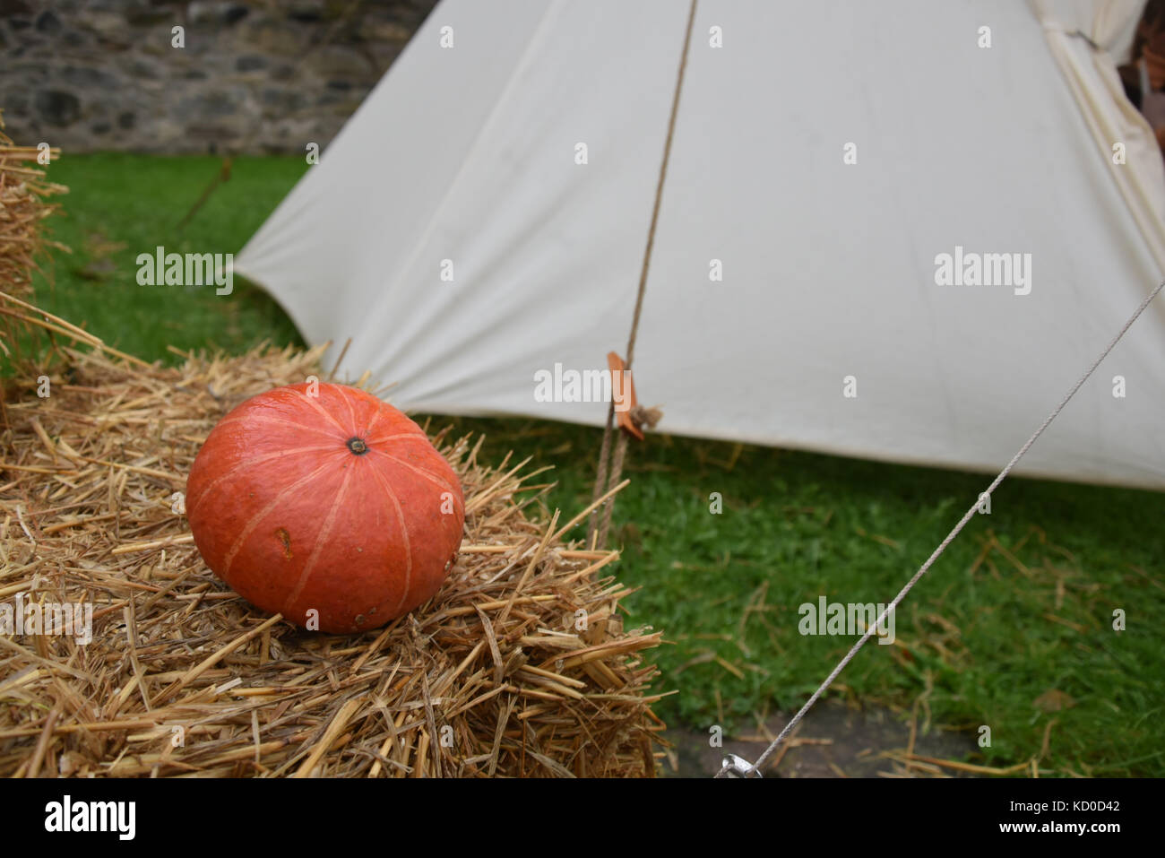 pumpkin on straw with tent Stock Photo
